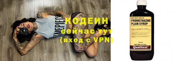 кокс Вяземский