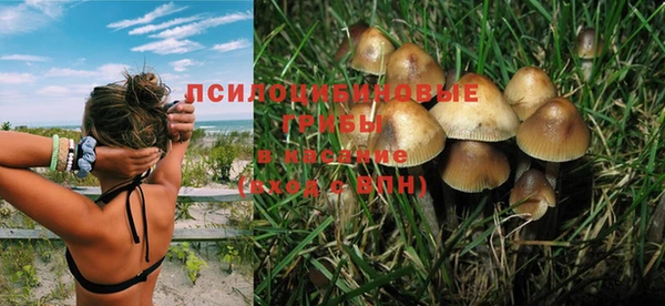 дурь Вязники